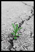 And the strong shall survive.